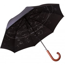 Зонт LEVENHUK Star Sky Z10