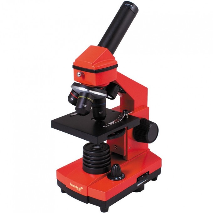 Микроскоп LEVENHUK Rainbow 2L PLUS Orange\Апельсин 69045